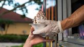 Sweet chills: Weather-weary folks get relief on National Ice Cream Day