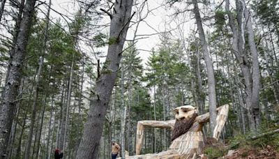 Giant Troll artist Thomas Dambo on turning trash into treasure - The Boston Globe
