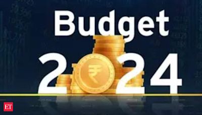 Budget 2024: Sitharaman announces plan for Viksit Bharat; a look at key numbers