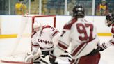 Results: North Jersey Hockey 3 Stars of the Week for Jan. 22-28
