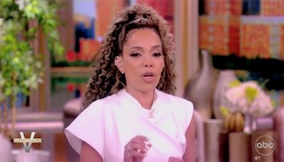 'The View' co-host scolds Fani Willis and Nathan Wade for workplace romance: 'Stupid thing to do'