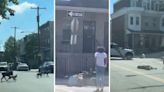 Dog pack tears into man on Philadelphia street before cop shoots them