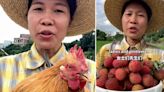 自學「粵式英語」推特產 茂名農家女孩拍片介紹荔枝走地雞爆紅｜有片
