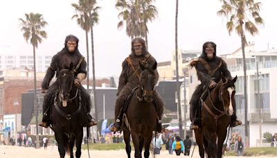 Apes on Horseback Surprise People on Venice Beach as“ Planet of the Apes” Gears Up for Release