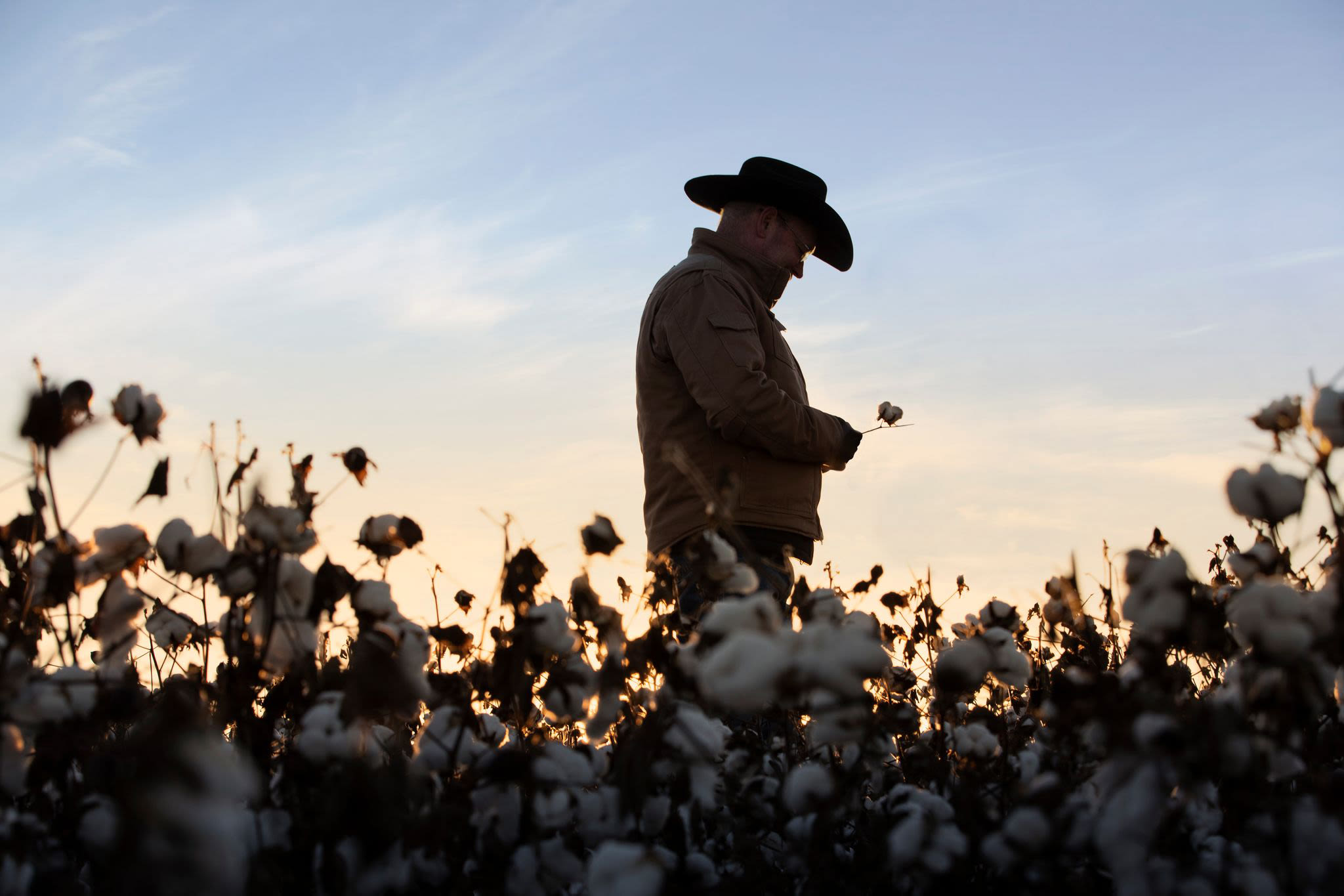 Here’s How Regenerative Agriculture Benefits the Cotton Supply Chain