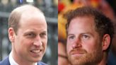 Prince William and Prince Harry Honor Late Mom Princess Diana With Separate Appearances - E! Online