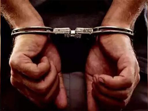 'Celebrity thief' nabbed hours after house break-in | - Times of India