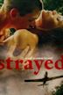 Strayed (2003 film)