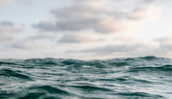 Huge sea creature — the world’s largest — stuns California onlookers in early sighting