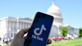 A TikTok ban would probably also take down CapCut, Lemon8, and more