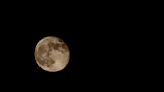 What is a Beaver Moon, and when can you see it?