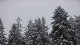 UPDATE: Light snow probable in Willamette Valley Thursday morning, more in foothills