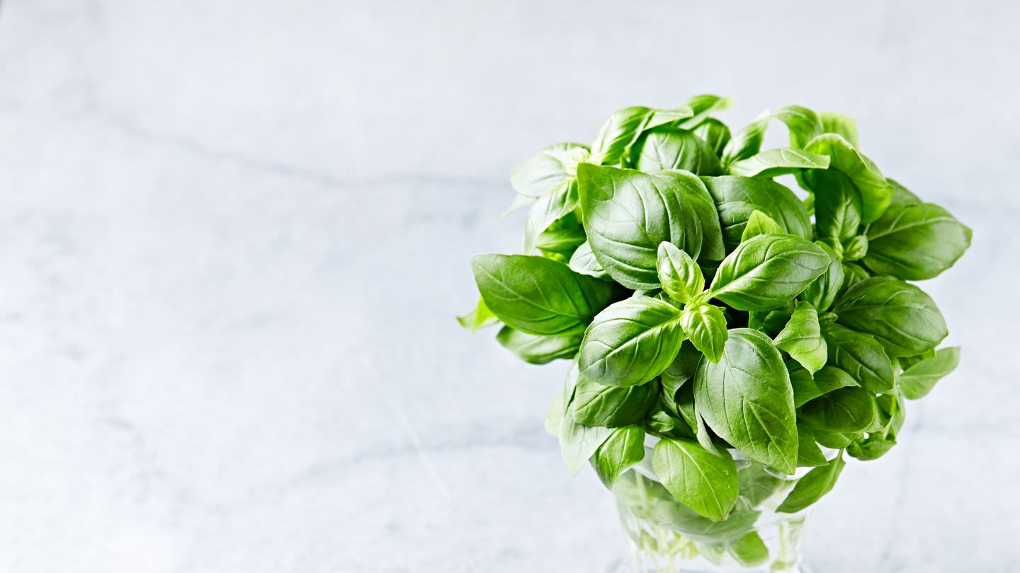 This Clever Trick Will Keep Your Basil Fresh for Days