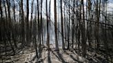 Cerca de 150 incendios forestales siguen activos en el oeste de Canadá en pleno invierno