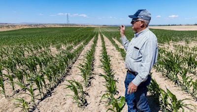 Idaho is losing a farm a day. Farmers are aging. How will we feed a growing population?