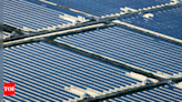 Gensol Engineering wins 116 MW solar project bid - Times of India
