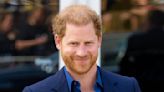 One of Prince Harry’s Closest Colleagues Said His Motivations Have Greatly Changed Since Becoming a Father