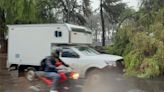 Ráfagas de viento y lluvias derriban árboles en CDMX, provocando tráfico en varias vialidades