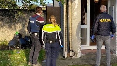 Gardaí smash suspected burglary gang linked to multiple break-ins on homes and businesses across the midlands