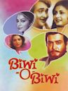 Biwi-O-Biwi