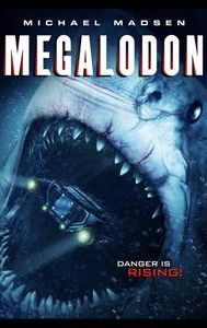 Megalodon