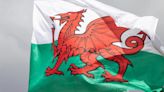 Eluned Morgan será la primera mujer ministra principal de Gales al ser la única aspirante a suceder a Gething