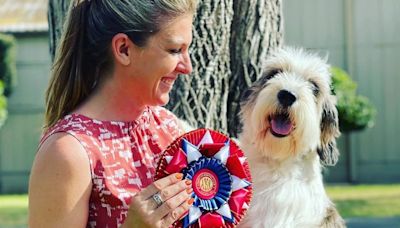 From the archive: When Westminster Best in Show dog Buddy Holly retired to Palm Springs