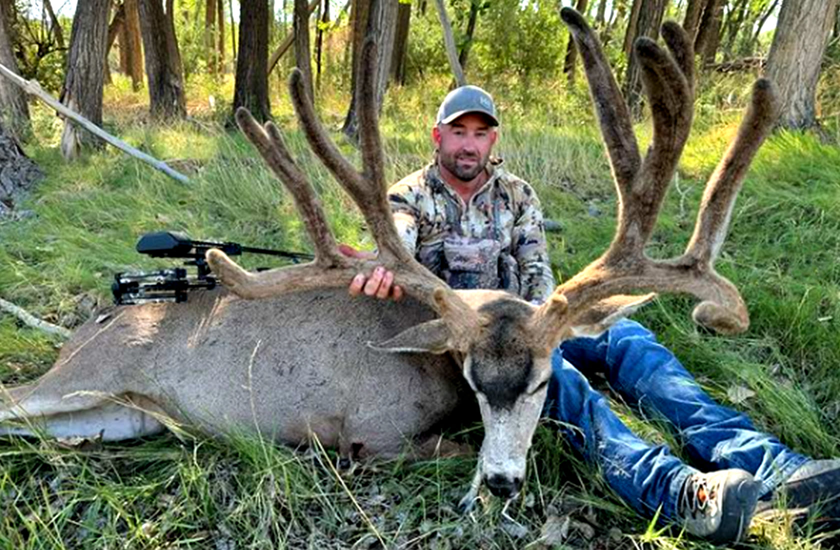 Velvet Mule Deer Buck from Colorado Could Be a New Archery World Record, but Questions Around the Hunt Remain