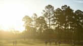 Why did an Augusta golf course receive an $8 million tax deduction? The southern fox squirrel is part of the answer