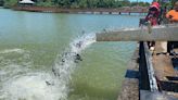 More than 2,500 pounds of catfish slide into East Lake for Birmingham fishing rodeo