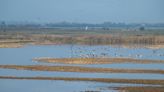 Nature reserve hosts events for 40th anniversary