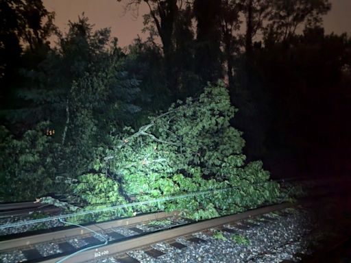 Downed trees suspend NJ Transit services ahead of Friday rush hour