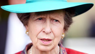 Princess Anne issues statement on cancelled engagement after leaving hospital