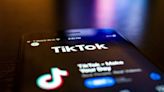 ‘Obviously Unconstitutional’: TikTok Challenges Law That Could Ban the App in the US | National Law Journal