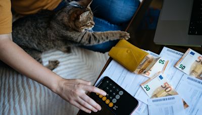 32 ways to save money as a cat owner