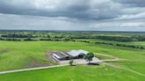 Versatile Offaly farm on 145ac with top-notch yard guided at €1.85m to €1.95m