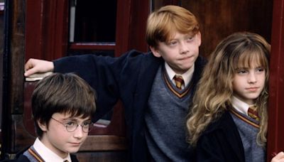 The Harry Potter casting call confirmed my worst fears