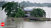 Assam floods: 23 lakh affected in 29 districts, water levels show signs of receding | India News - Times of India