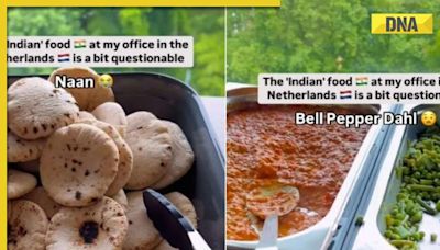 Watch video: 'Questionable' Indian food served to employees in Dutch office; Internet reacts