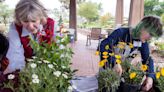 What to know about Big Bloom plant sale at South Texas Botanical Gardens & Nature Center