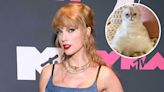 Taylor Swift’s Cats Olivia Benson and Meredith Grey’s Net Worths Are Higher Than Most Hollywood A-listers