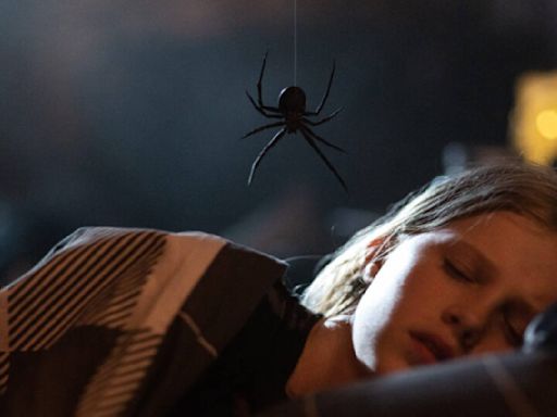 New horror movie about killer spiders debuts to strong Rotten Tomatoes score, earning comparisons to Alien and Slither