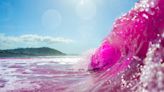 Here's why the waves in San Diego are pink, and what we can learn from it