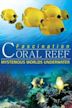 Fascination Coral Reef: Mysterious Worlds Underwater