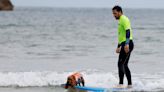 Dogs shred waves in northern Spain surfing contest