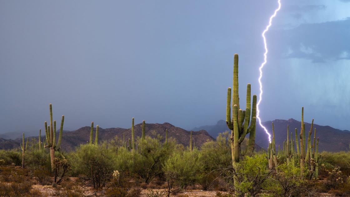#ThisIsTucson is hosting a monsoon-themed market featuring candles, jewelry, tattoos and more