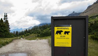 Multiple Glacier National Park Trails Closed Following Hikers' Bear Encounter — What to Know