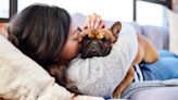 Five trainer-approved tips to help your new dog settle in