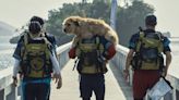 How to Watch ‘Arthur the King:’ Is Mark Wahlberg’s Heroic Dog Movie Streaming or in Theaters?