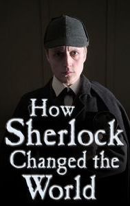 How Sherlock Changed the World